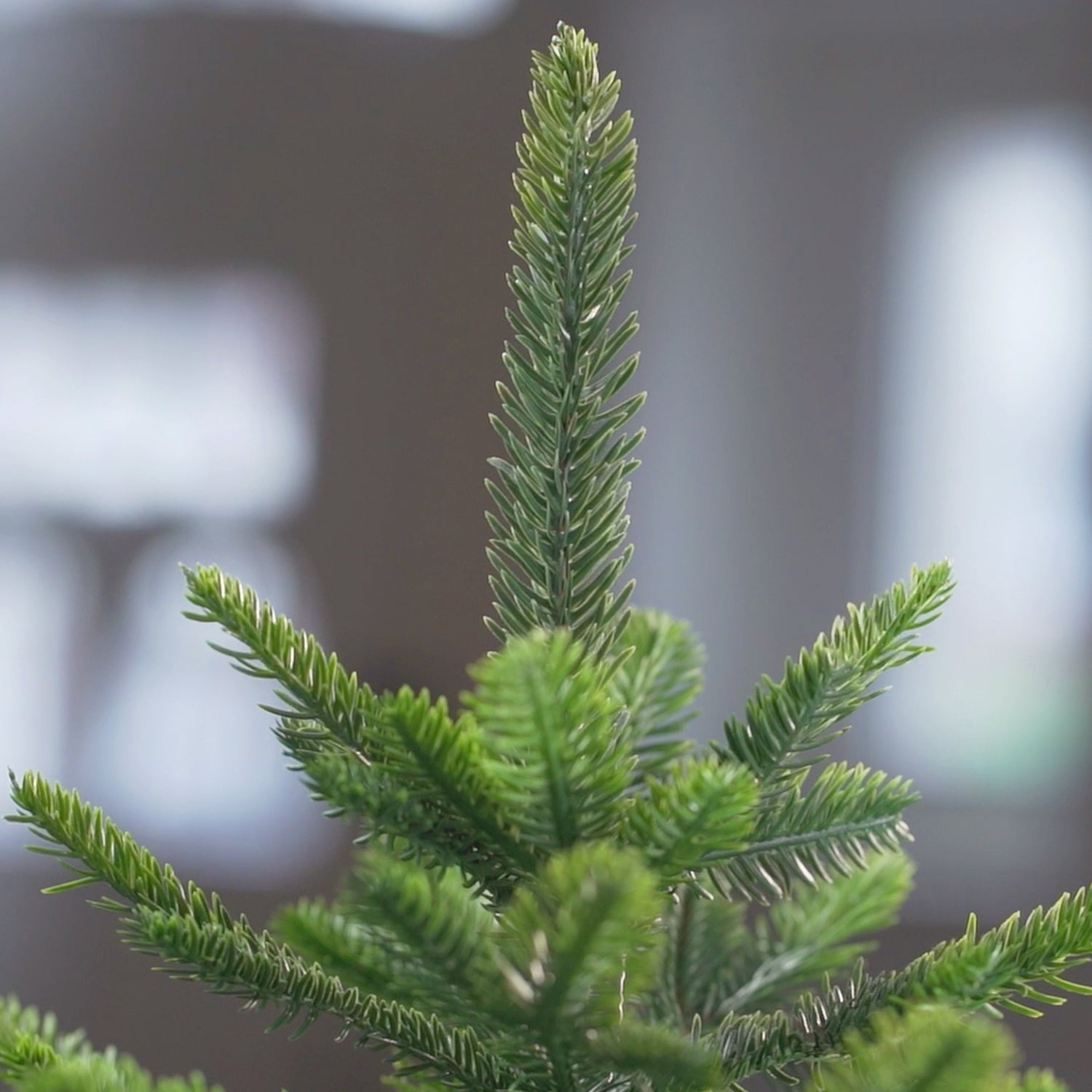 Stabile Spitze Künstlicher Weihnachtsbaum
