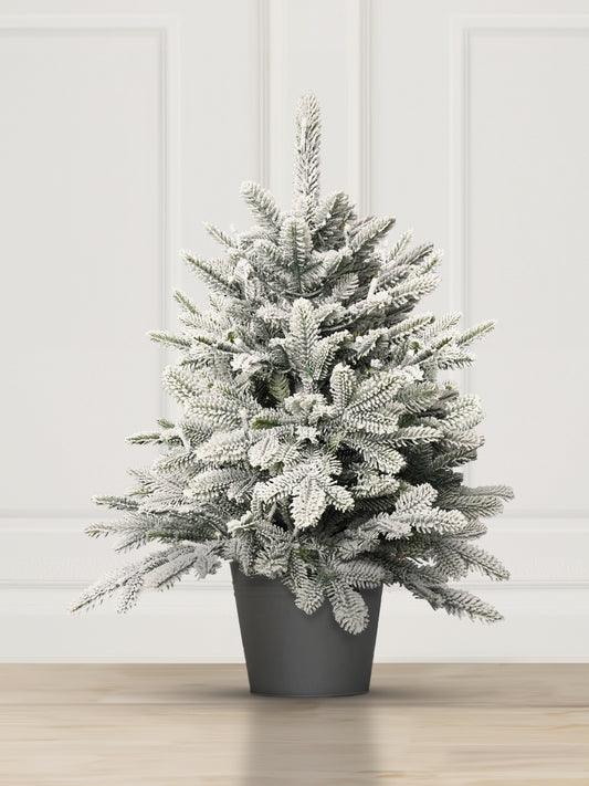 Snow-covered northern spruce in a pot with integrated string of lights