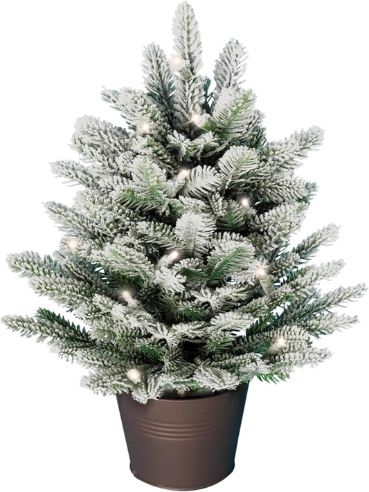 Snow-covered northern spruce in a pot with integrated string of lights