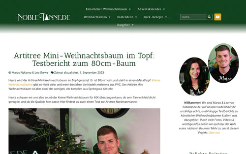 Artikel ArtiTree Mini-Weihnachtsbaum im Topf: Test zum 80cm-Baum