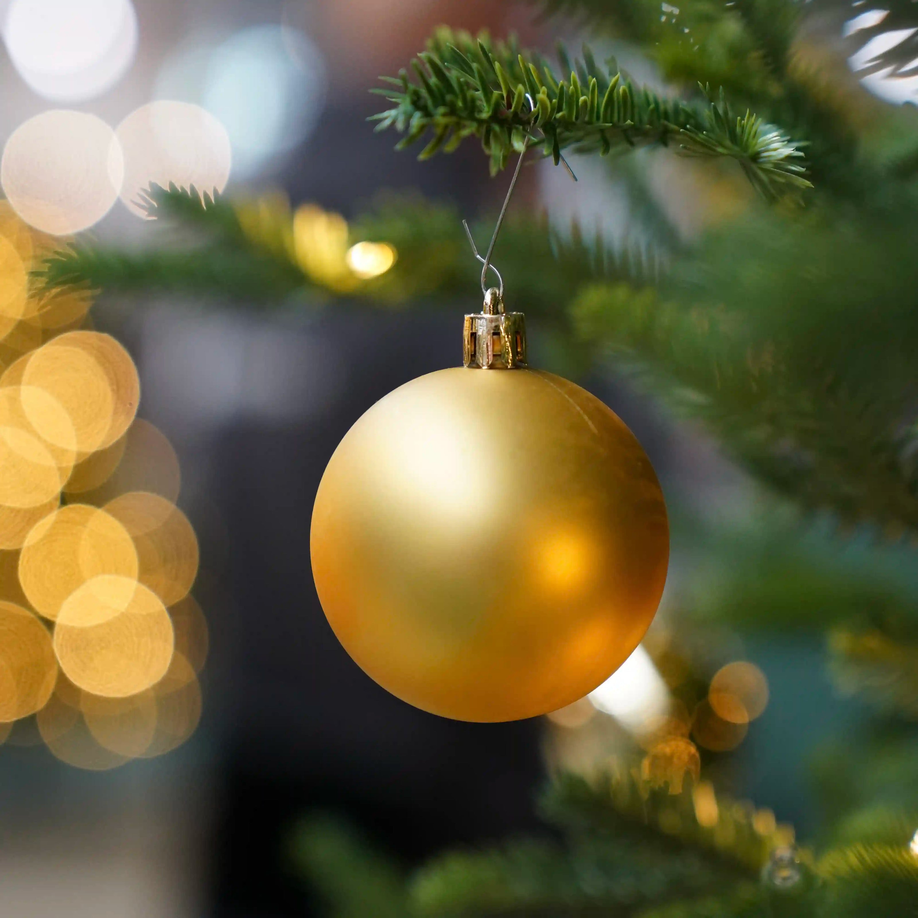 Karriere Detailbild Showroom