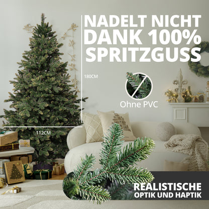 Nordmann fir