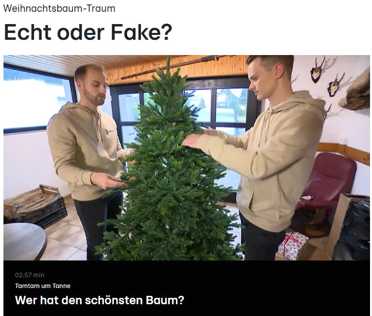 RTL Reportage über die künstlichen Weihnachtsbäume von ArtiTree im Vergleich zu echten Weihnachtsbäumen