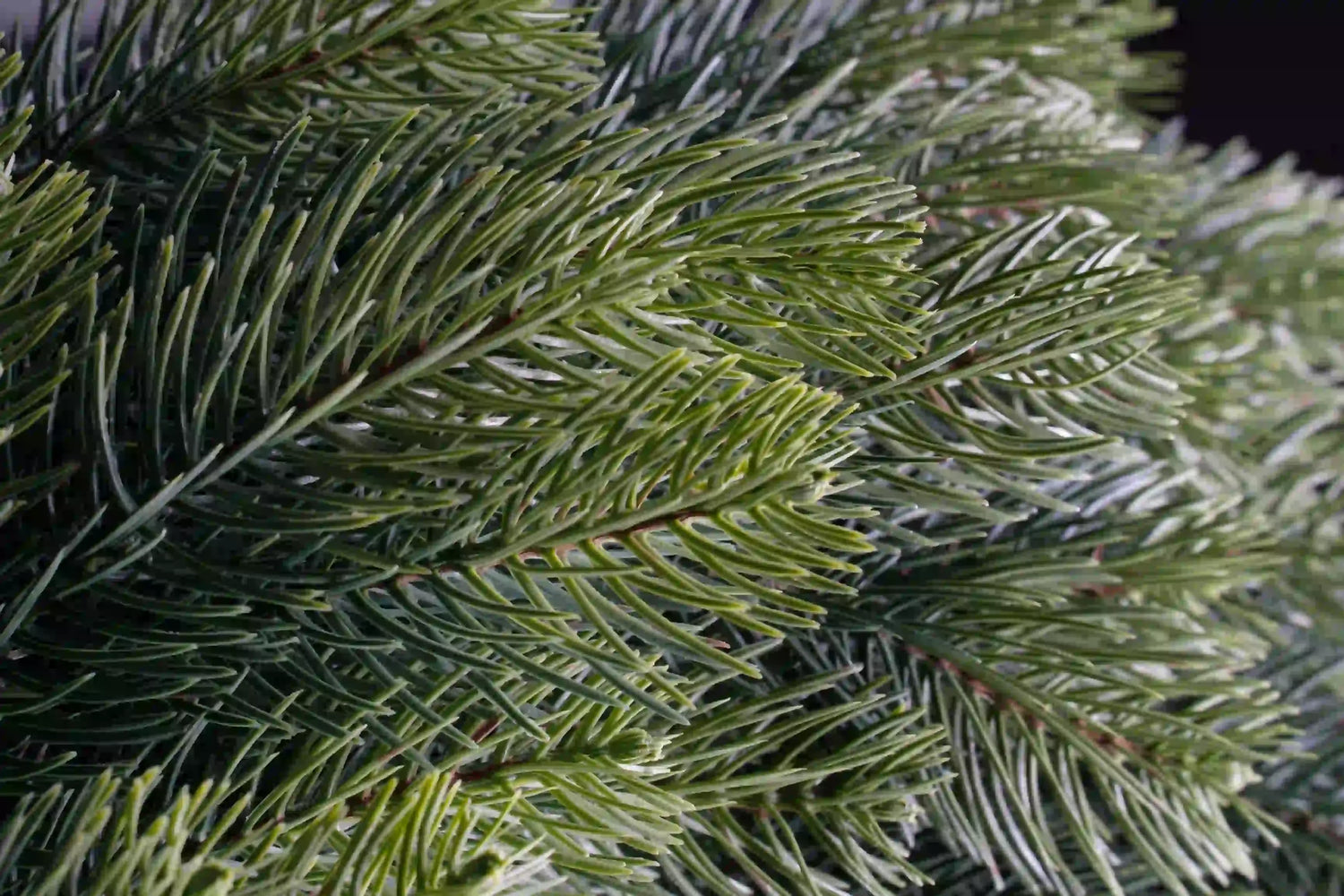 Künstliche Tannengirlande von ArtiTree
Detailaufnahme der Nadeln