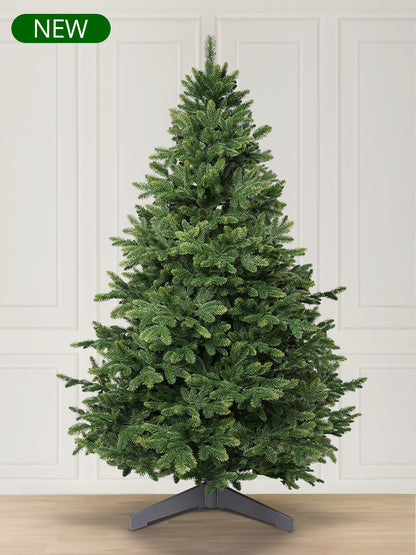 Nordmann fir